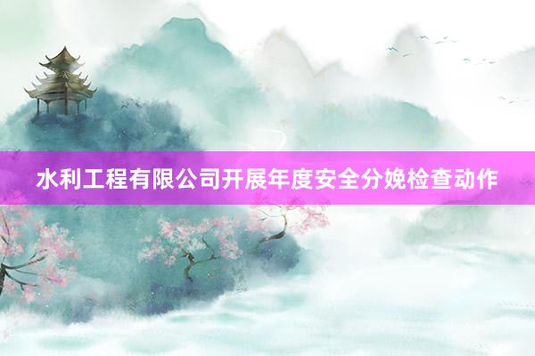 水利工程有限公司开展年度安全分娩检查动作